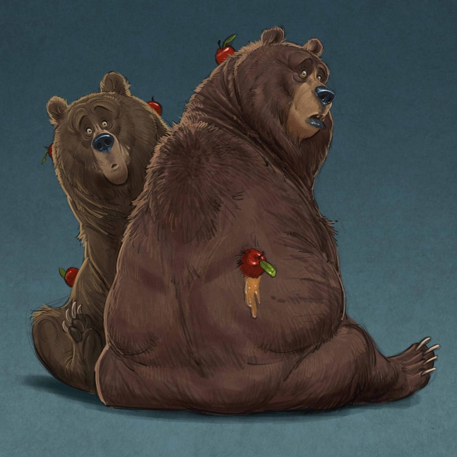 Медведь прикол