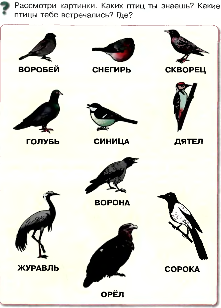Перелётные птицы журавлиный Клин