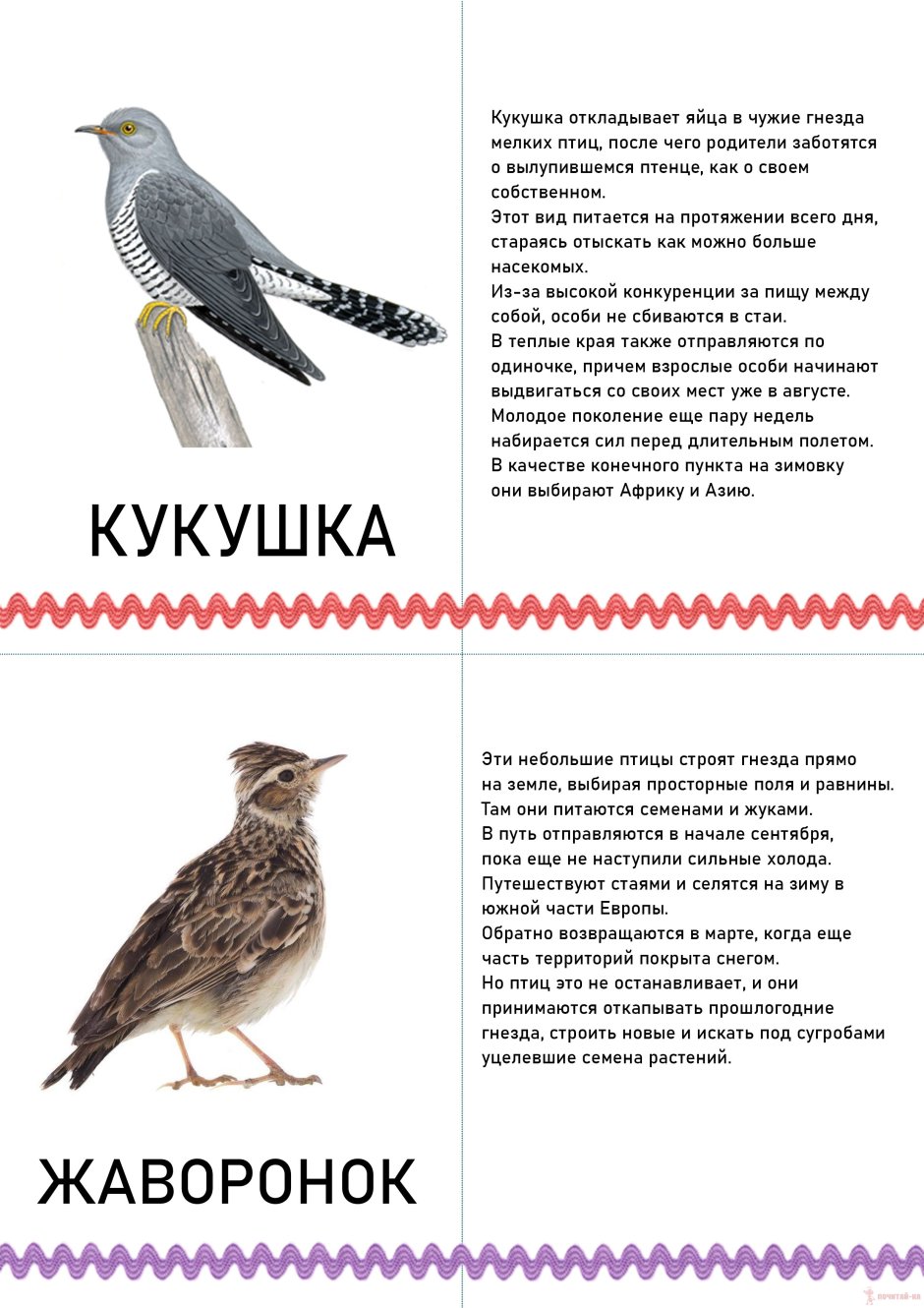 Лексическая тема перелетные птицы для дошкольников