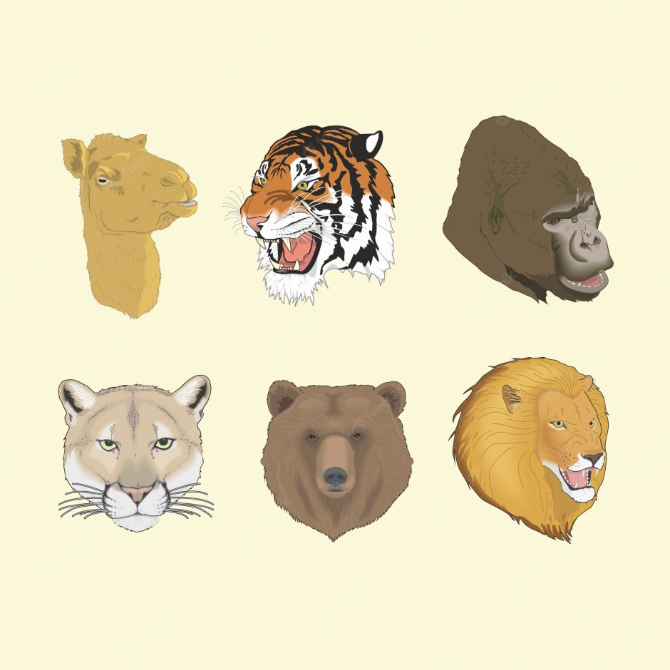 Рисунки тигра и медведя