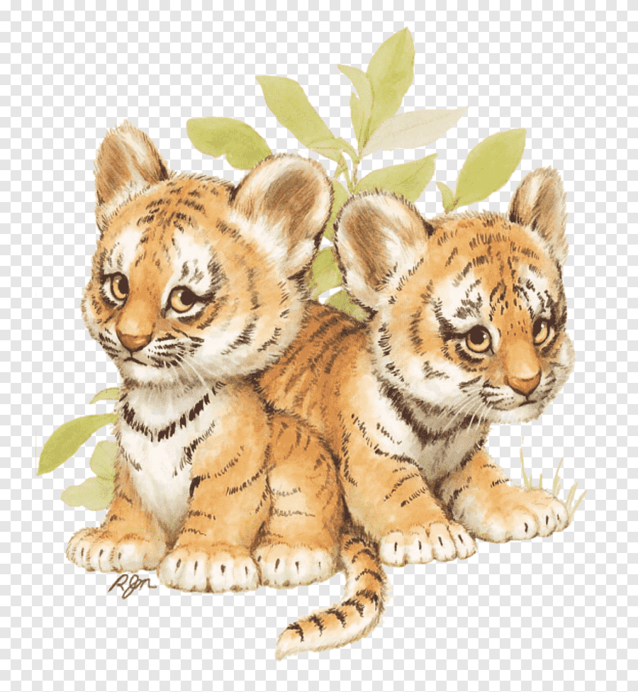 Тигренок рисунок