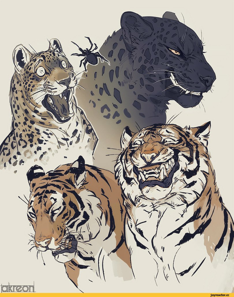 Барс леопард гепард