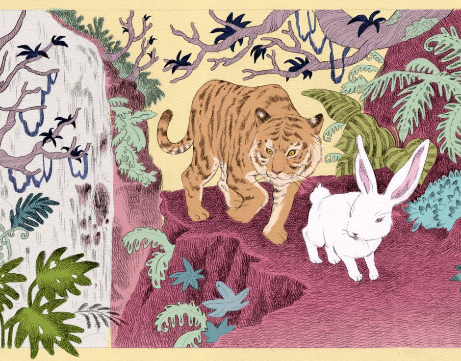 Тигр и заяц