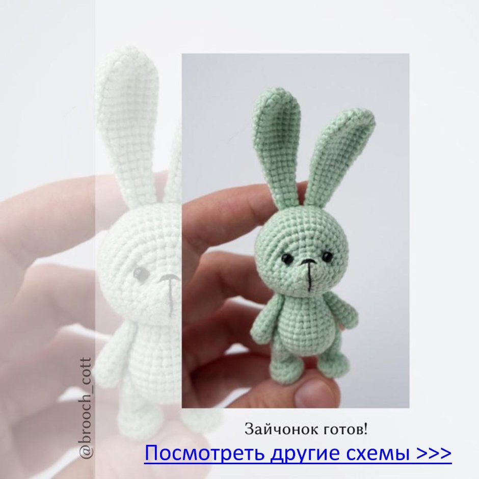 Ушастый ангорский кролик