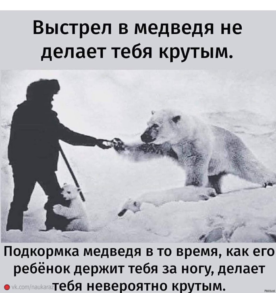 Ростовский зоопарк родился Медвежонок