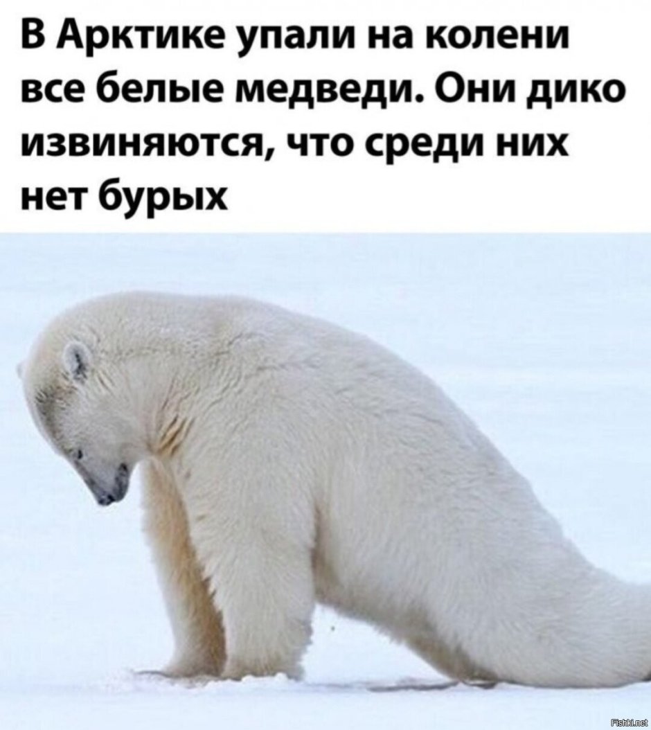 Лысый землекоп животное