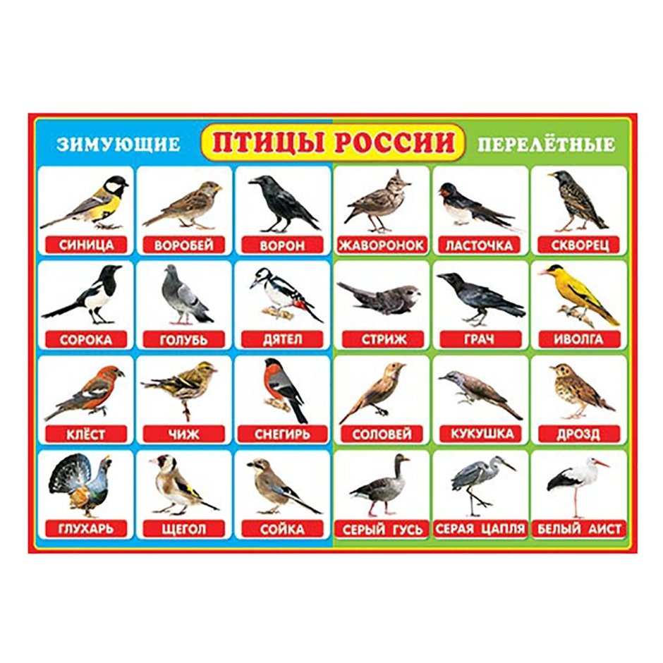 Слипки ру