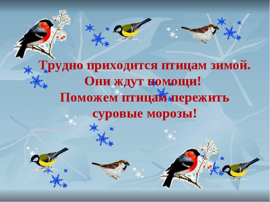 Развивающее занятие зимующие птицы