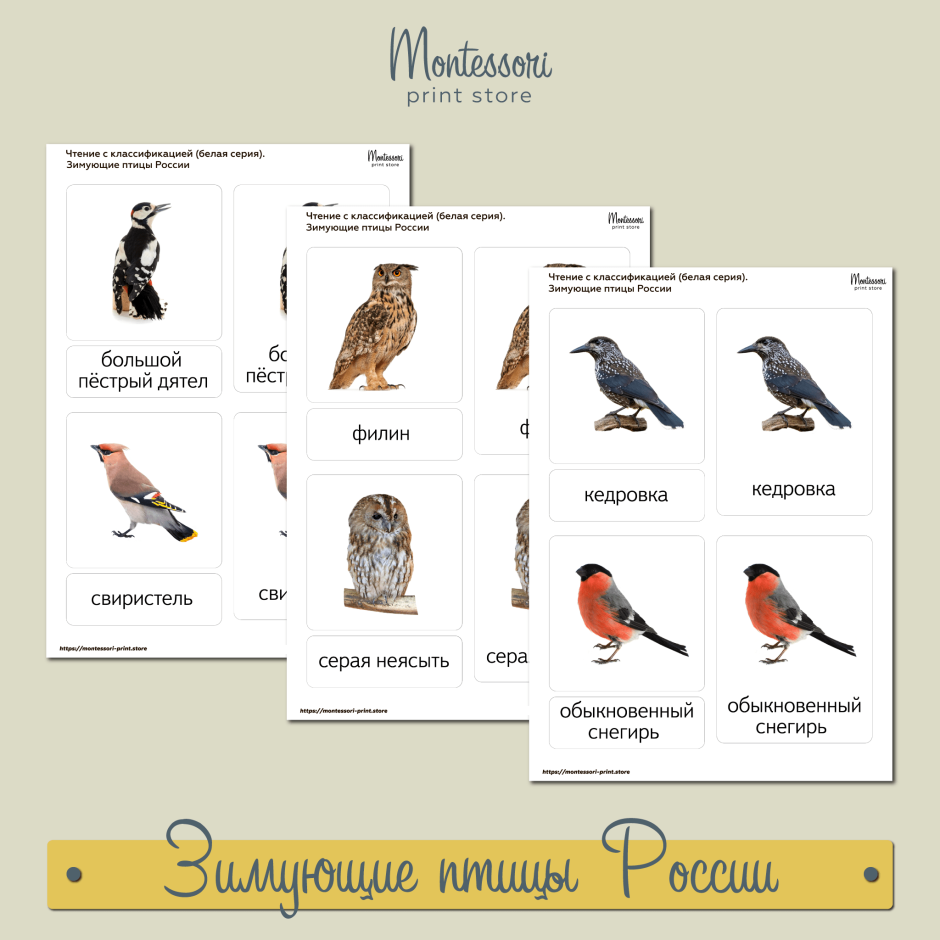 Раскраска птицы перелетные и зимующие