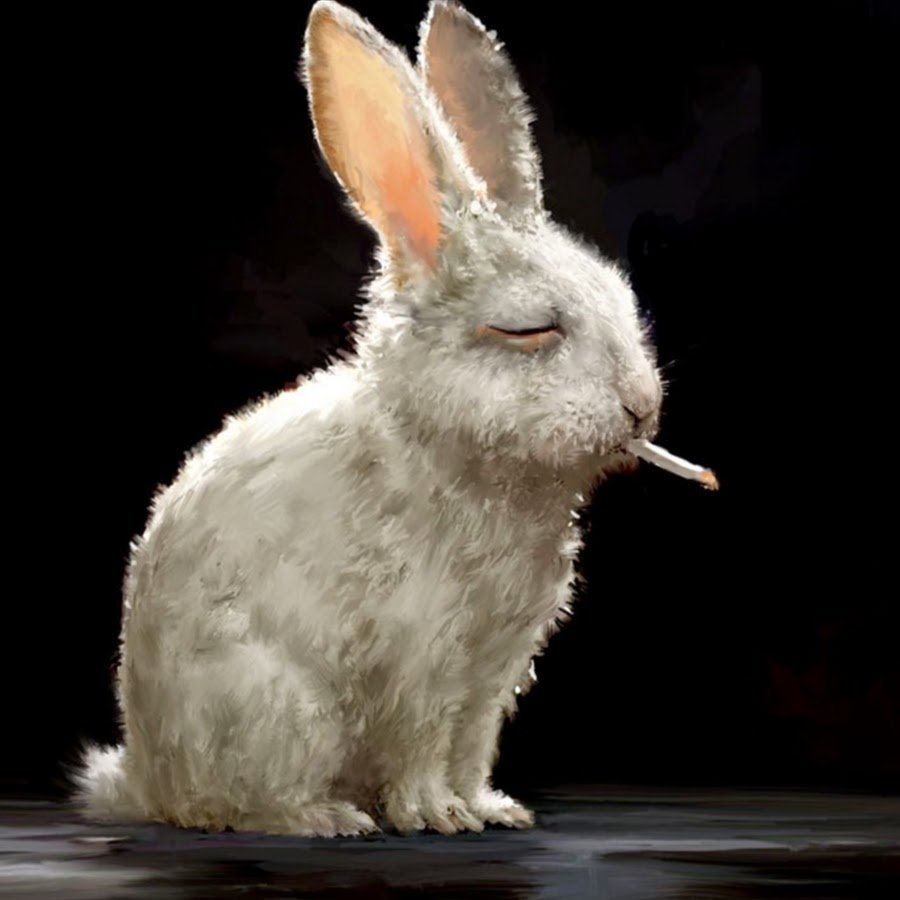 Сумасшедший кролик