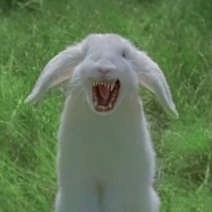 Боевой кролик