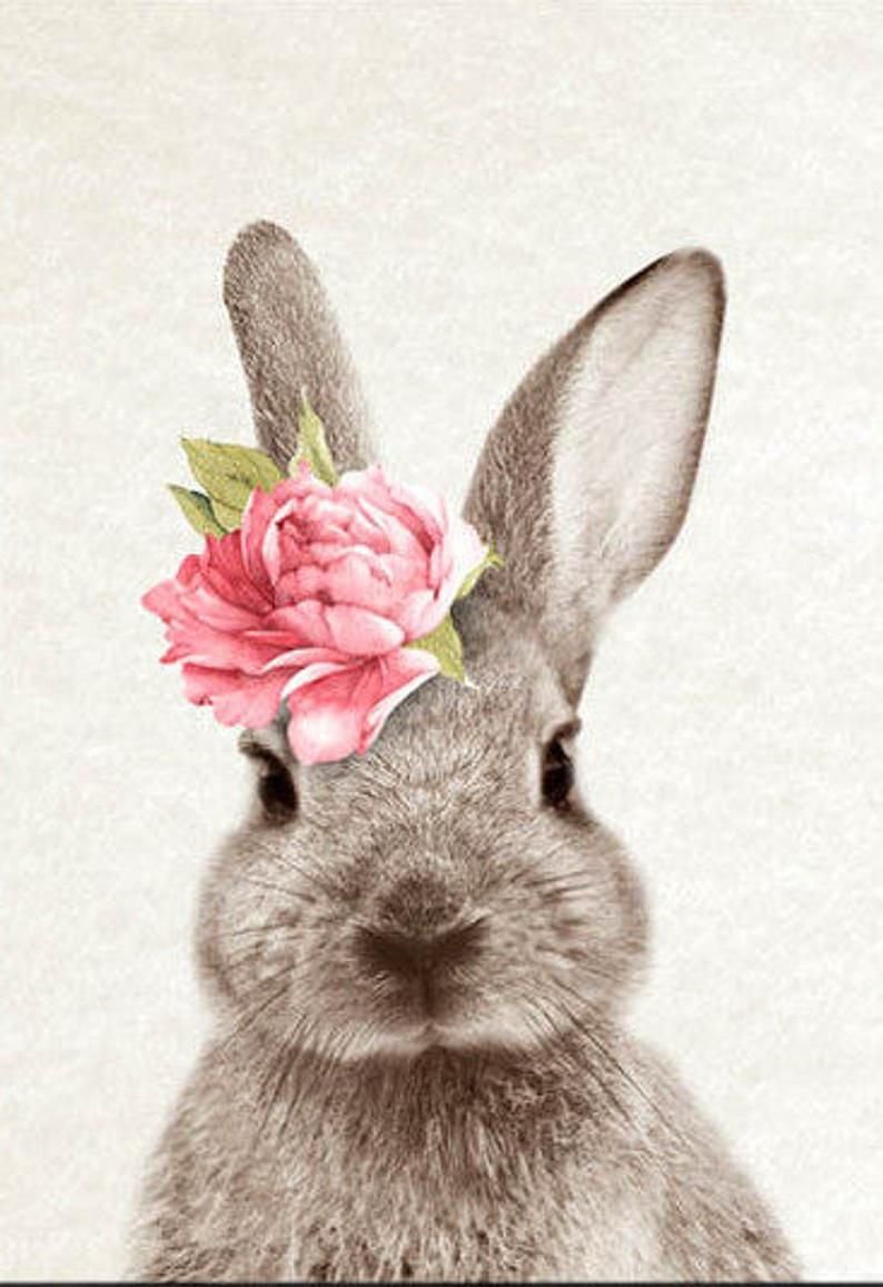 Тайная жизнь домашних животных кро