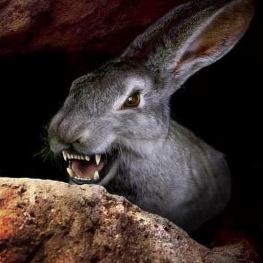 Rabbids Invasion игрушки