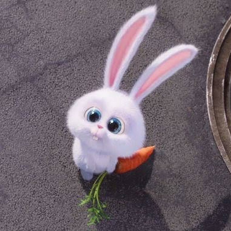 Злой кролик