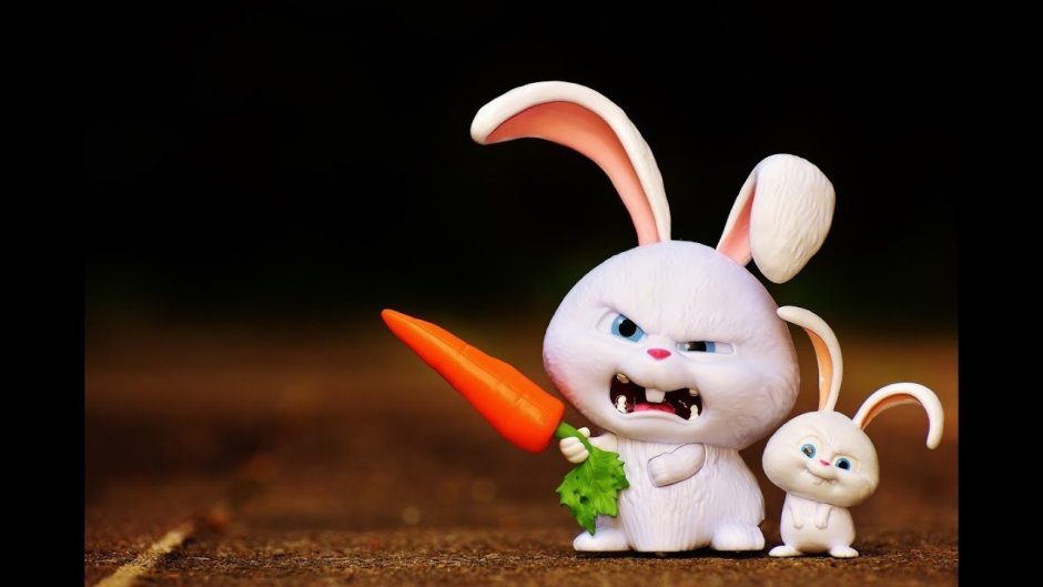 Длинноухий заяц