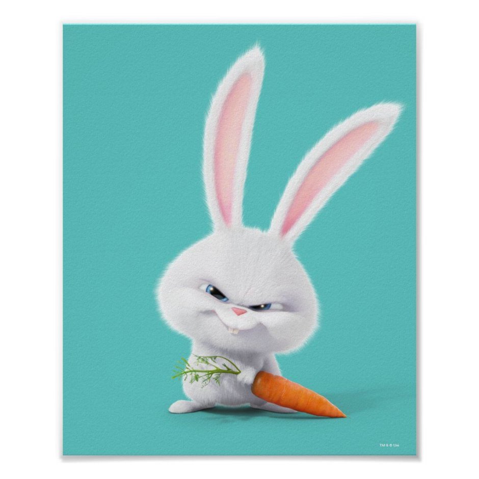 Тайная жизнь домашних животных заяц злой