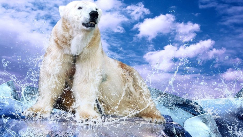 Белый медведь в воде