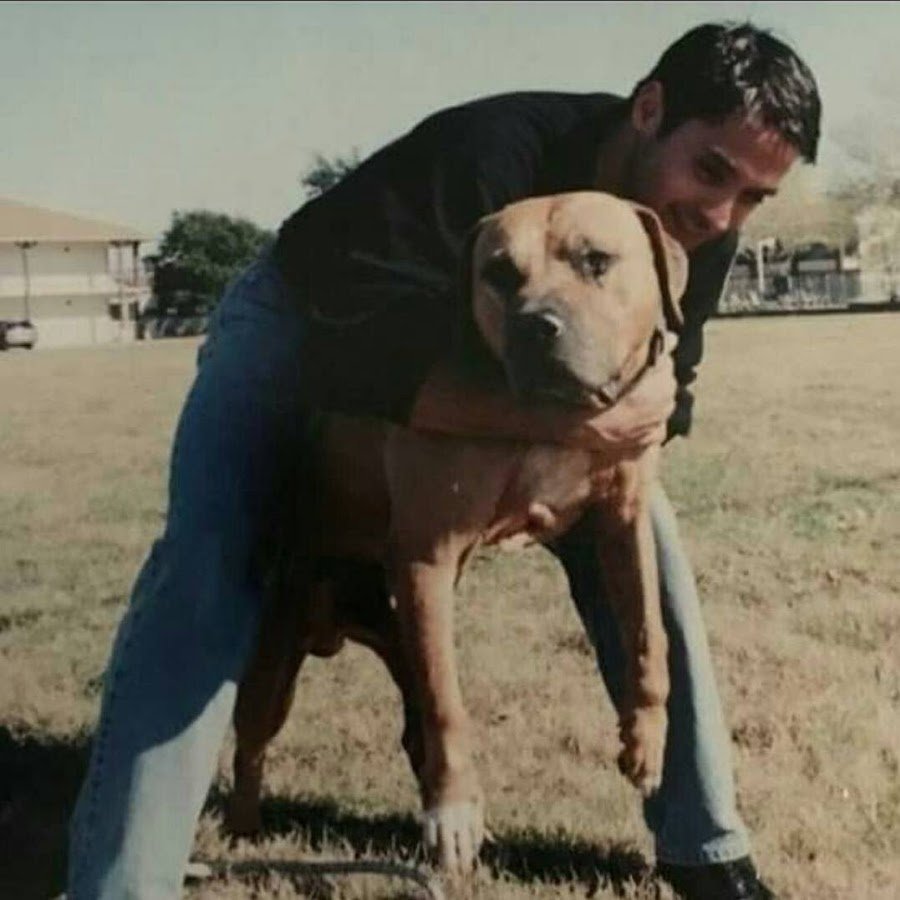 Чудо селекции собак