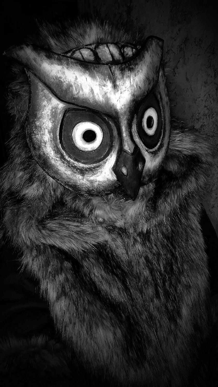 Сова Тини Банни