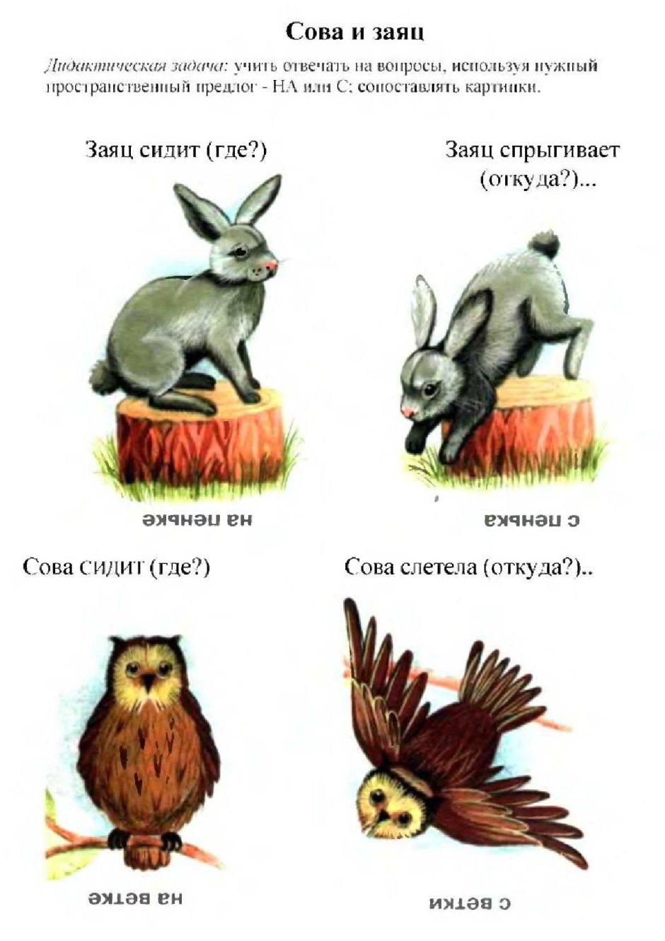 Сова и заяц