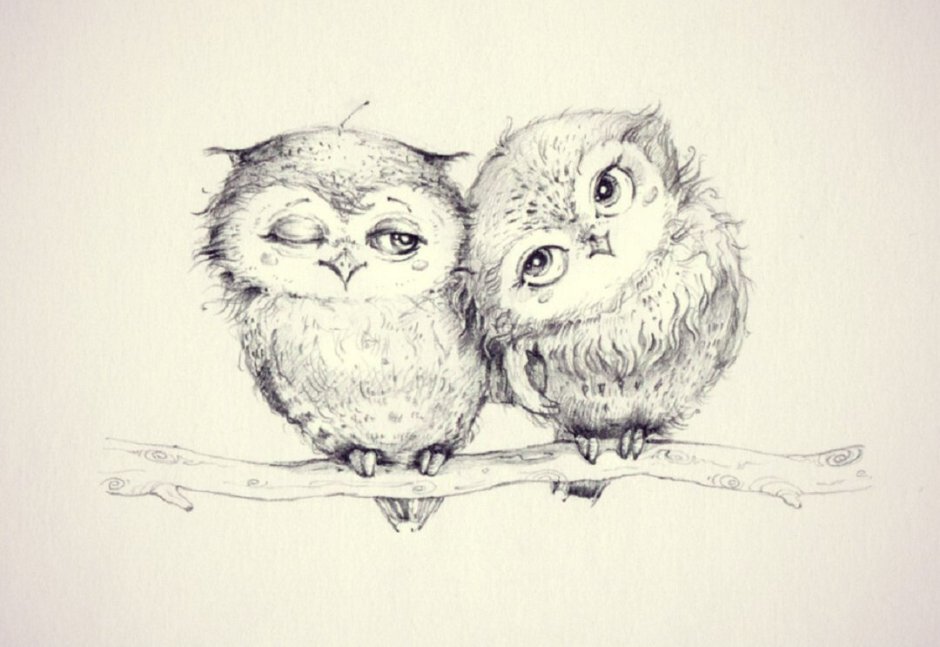 Дружба животных в природе