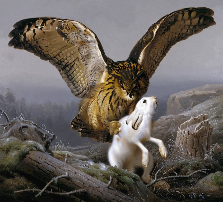 Влюбленные Совы