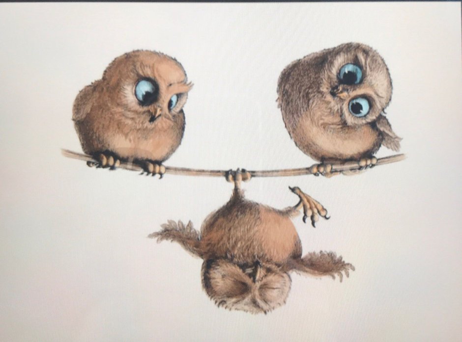 Сипуха арт фэнтези