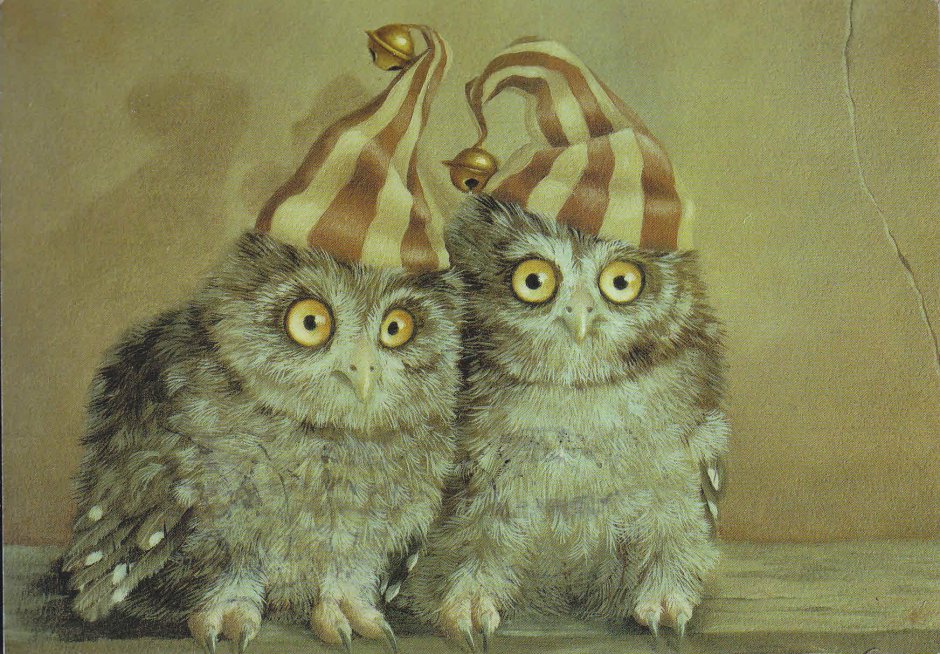 Comedy Wildlife Photography Awards необычный фотоконкурс 2019