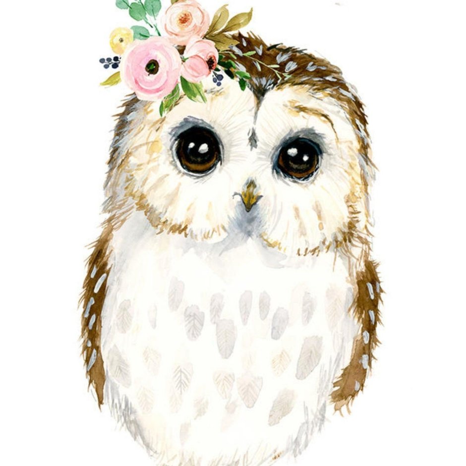 Художник James Meger