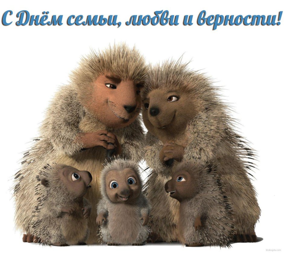 Николай Зиновьев фотограф дикой природы