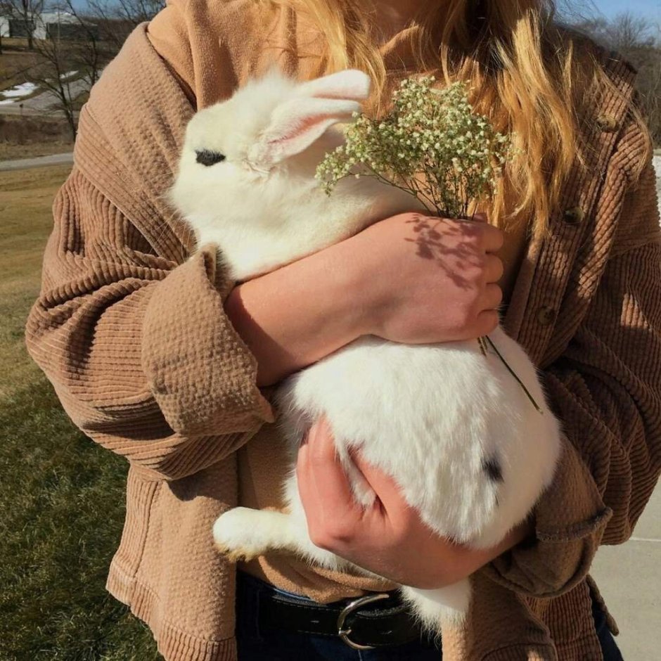 Курчавый заяц