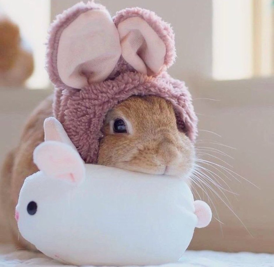 Человек с головой животного