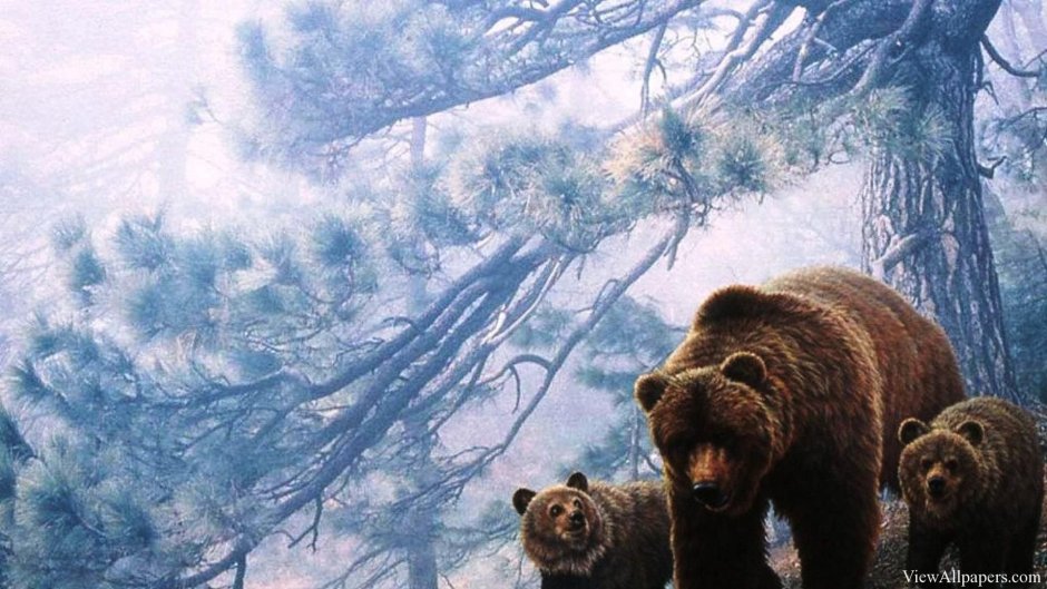 Медведь Гризли зимой