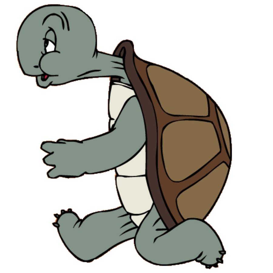 Заяц и черепаха финиш