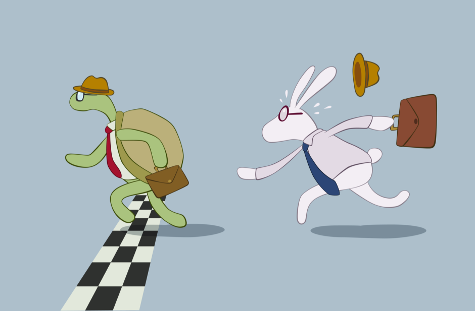 Заяц и черепаха финиш