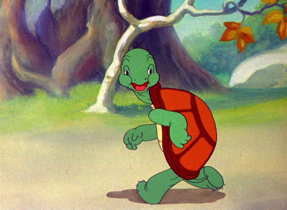 Заяц и черепаха Ингушская народная сказка