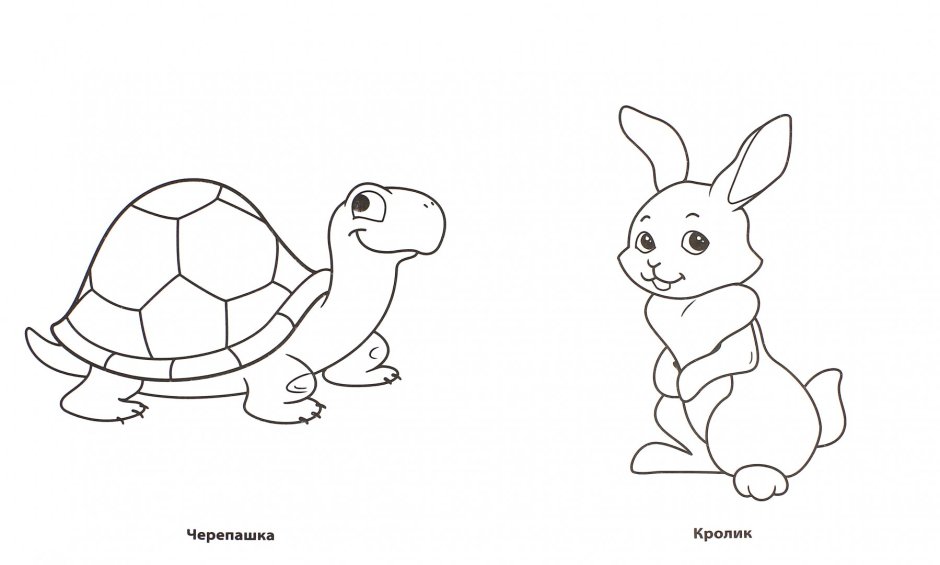 Заяц и черепаха Михалков