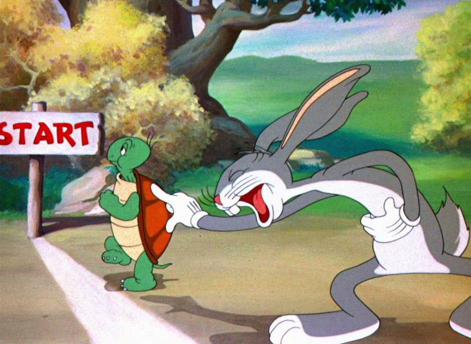 Заяц и черепаха сказка