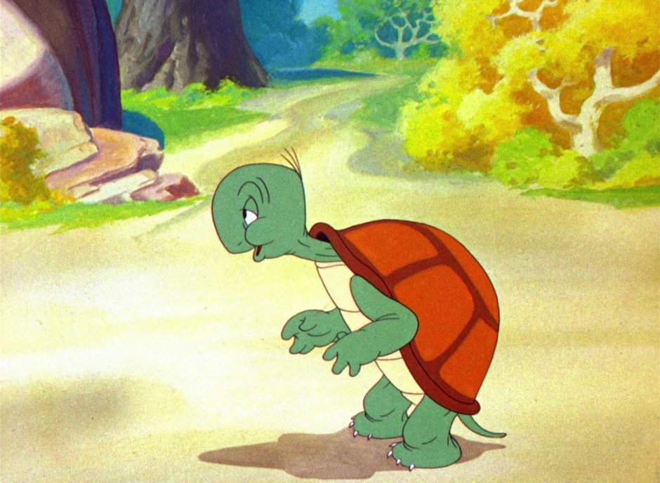 Кролик и черепашка