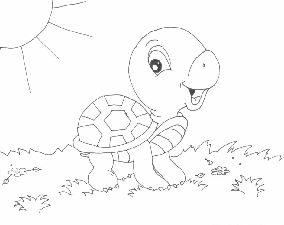 Заяц и черепаха раскраска