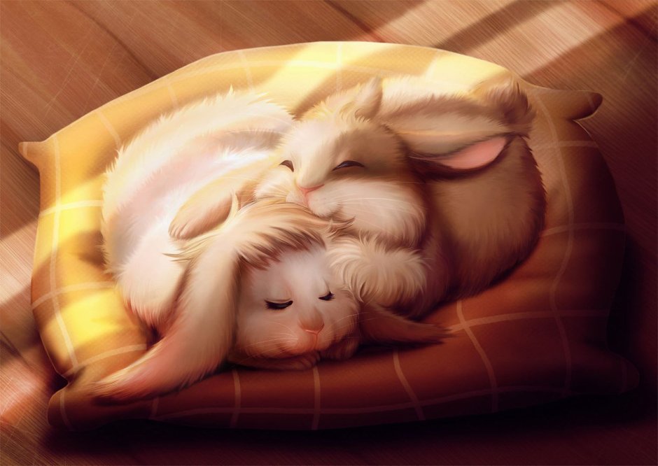 Спящий заяц