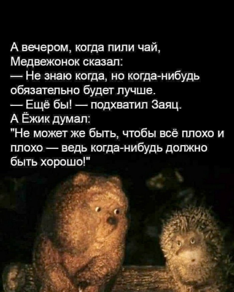 Ёжик и Медвежонок цитаты