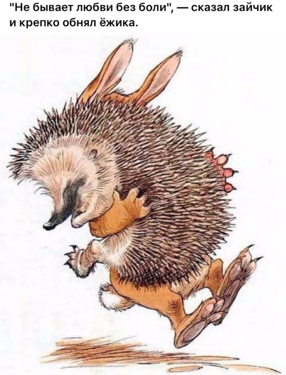 Про Ёжика и кролика: кусочек зимы — Стюарт п. и Риддел к.