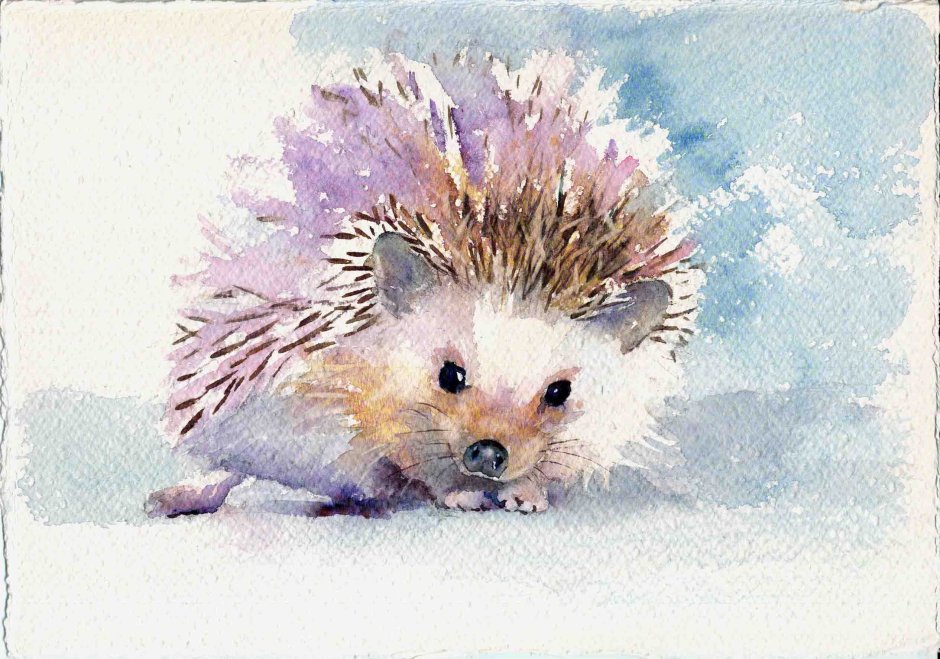 Милые ежики в акварели