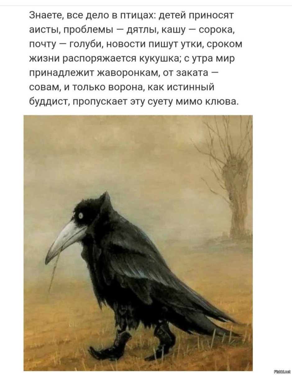 Мистические вороны