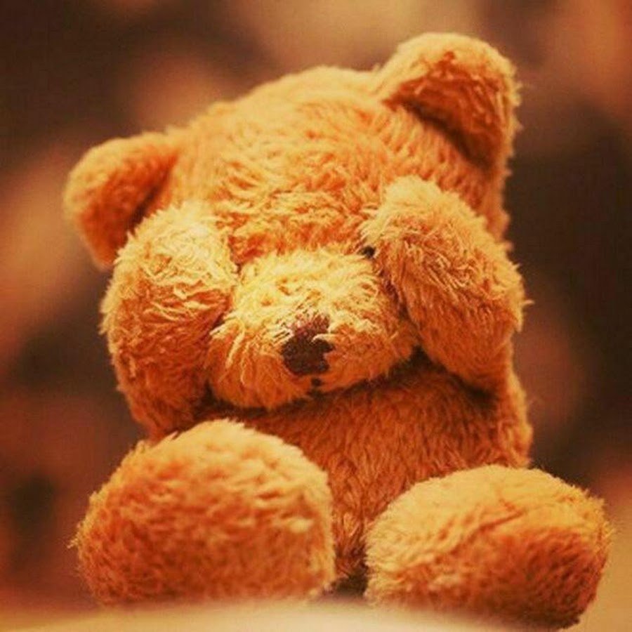 Мишка на берегу