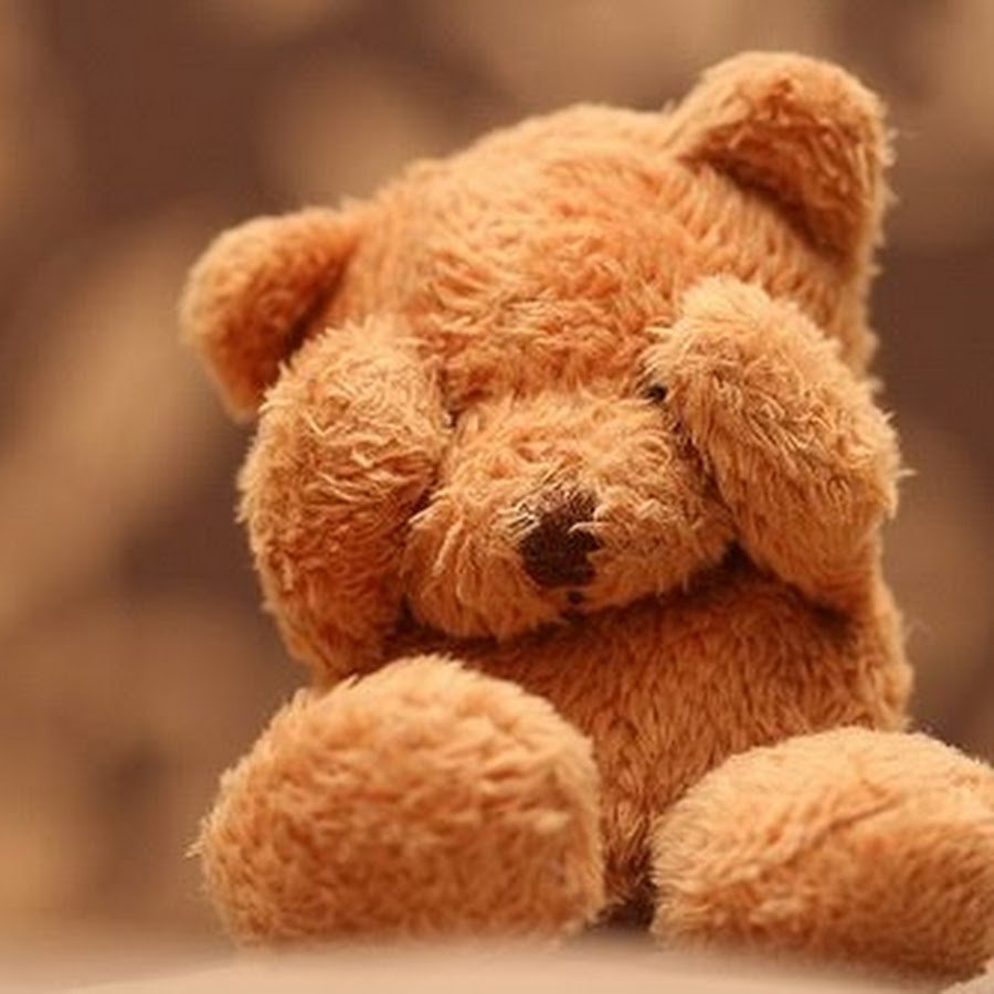 Злой медведь и девочка