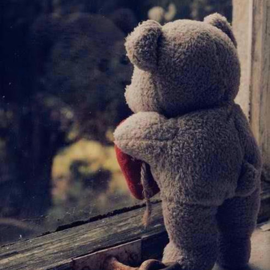 Одинокий медведь