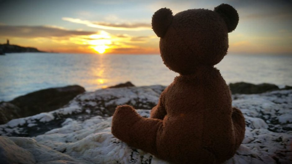 Грустный Медвежонок