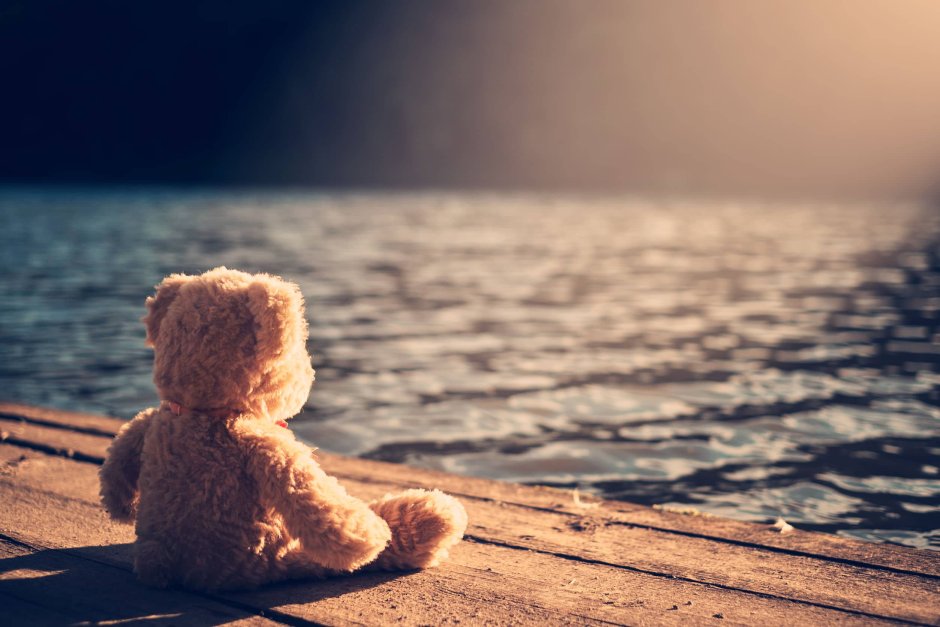 Медведь за столом